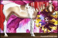 Horse Color:Painted Bay Onyx Tobiano Rabicano