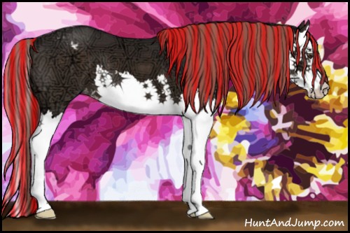 Horse Color:Painted Liver Chestnut Ice Splash Appaloosa