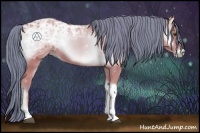 Horse Color:Watercolor Bay Ice Onyx 