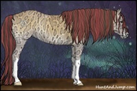 Horse Color:Painted Buckskin Ice Onyx