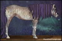 Horse Color:Painted Buckskin Ice Onyx 