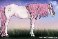 Horse Color:Watercolor Bay Ice Pearl Onyx 