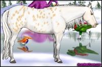 Horse Color:Silver Buckskin Dun Appaloosa 