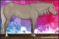 Horse Color:Silver Grullo Sabino 