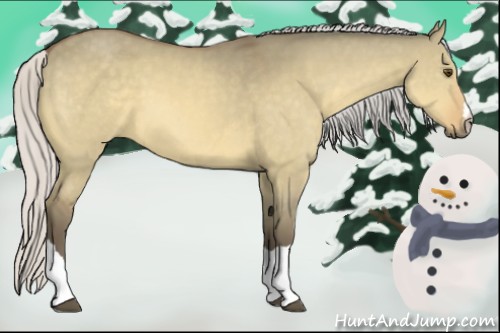 Horse Color:Silver Buckskin Dun 