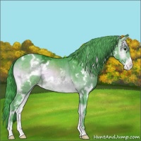 Horse Color:Watercolor White Spotted Brown Chinchilla Ice Onyx Frame Appaloosa 