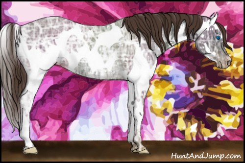 Horse Color:Liver Chestnut Ice Splash Varnish Rabicano 
