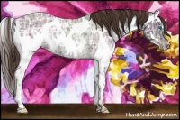 Horse Color:Liver Chestnut Ice Splash Appaloosa Rabicano 