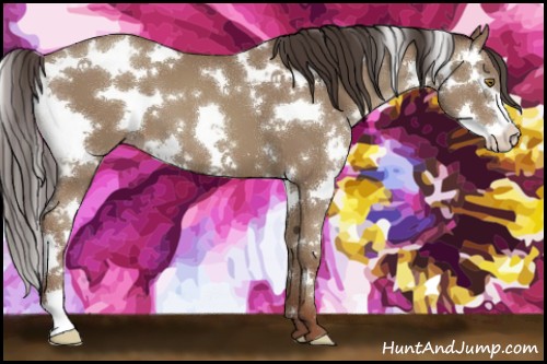 Horse Color:Classic Champagne Sabino Splash