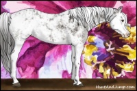 Horse Color:Liver Chestnut Ice Sabino Splash 