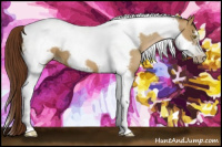 Horse Color:Gray Red Dun Pearl Tobiano Frame 