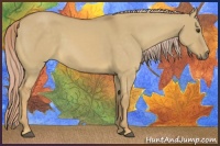 Horse Color:Palomino Dun 
