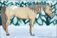 Horse Color:Chocolate Palomino Roan Dun Varnish
