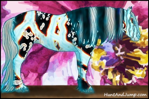 Horse Color:Thunderstruck Palomino Dun Tobiano Appaloosa Rabicano 