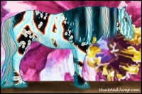 Horse Color:Thunderstruck Palomino Dun Tobiano Appaloosa Rabicano 