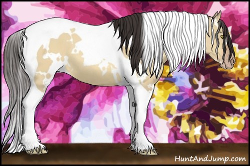 Horse Color:White Spotted Sable Champagne Dun Tobiano 