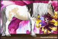 Horse Color:White Spotted Sable Champagne Dun Tobiano 