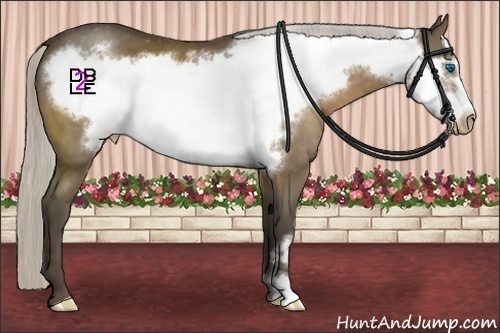 Horse Color:Silver Bay Mushroom Frame Varnish 