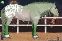 Horse Color:Watercolor Brown Roan Dun Appaloosa