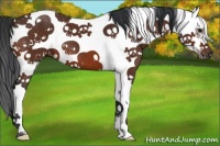 Horse Color:White Spotted Bay Frame 