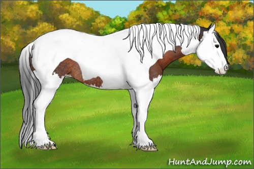 Horse Color:Brown Sabino Splash Tobiano Rabicano