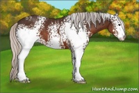 Horse Color:White Spotted Silver Brown