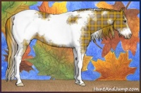 Horse Color:Plaid Liver Chestnut Sabino Tobiano Frame Rabicano