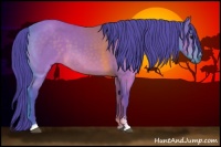 Horse Color:Watercolor Brown Sabino 