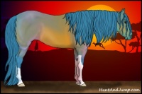 Horse Color:Watercolor Bay 
