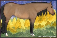 Horse Color:Bay Dun Rabicano 
