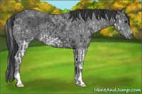 Horse Color:Black Ice Splash  and Black Ice 