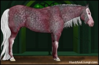 Horse Color:Silver Black Chinchilla Ice Splash 