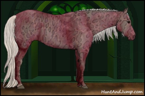 Horse Color:Silver Black Ice 