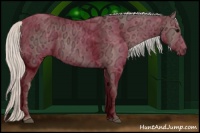 Horse Color:Silver Black Ice 