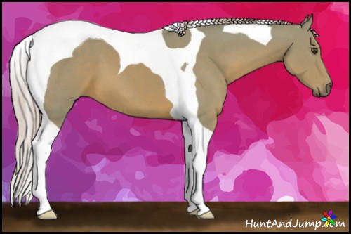 Horse Color:Watercolor Palomino Tobiano 