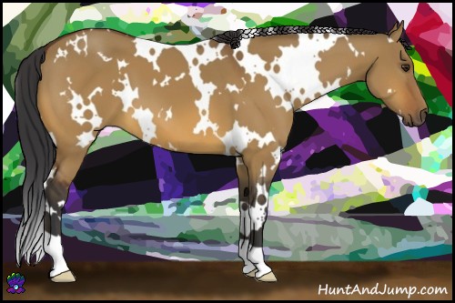 Horse Color:White Spotted Bay Dun 