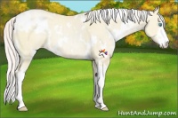 Horse Color:White Spotted Silver Buckskin Pearl Dun Sabino 