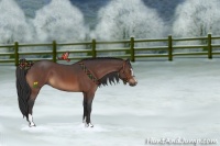 Horse Color:Bay Roan Sabino 