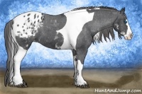 Horse Color:White Spotted Black Splash Tobiano Frame Appaloosa