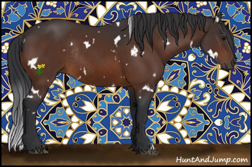 Horse Color:White Spotted Bay Rabicano