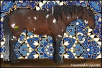 Horse Color:White Spotted Bay Rabicano