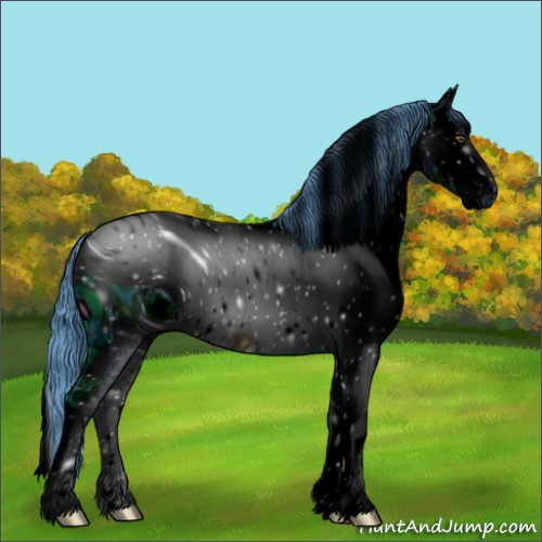Horse Color:ERROR: UNKNOWN ANOMALY