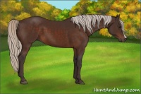 Horse Color:Silver Brown 