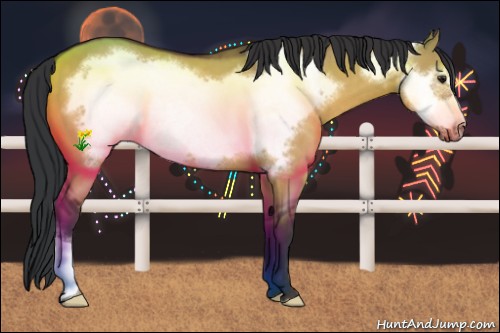 Horse Color:Bay Dun Frame 