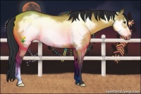 Horse Color:Bay Dun Frame 