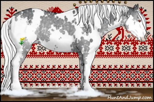 Horse Color:White Spotted Silver Black Chinchilla Splash Appaloosa Rabicano 