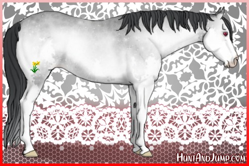 Horse Color:Classic Cream Champagne Chinchilla Onyx Splash Rabicano 