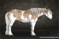 Horse Color:White Spotted Silver Brown Splash 