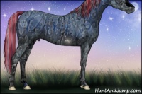 Horse Color:ERROR: UNKNOWN ANOMALY and ERROR: UNKNOWN ANOMALY