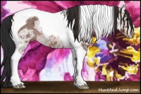 Horse Color:Bay Ice Tobiano Appaloosa 